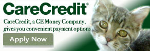 Care Credit