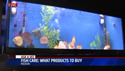 video - Choosing the Right Fish for your Aquarium