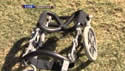 video - Pet Wheel Chairs