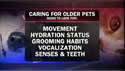 video - Senior Pets